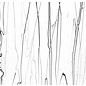 Bullseye glass 4171-000 black & white streamers on clear 3 mm