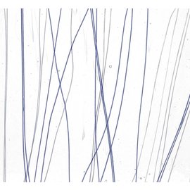 Bullseye glass 4172-000 blue & white streamers on clear 3 mm