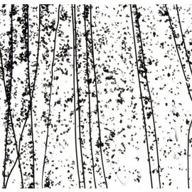 4200-000 black frit with black streamers on clear 3 mm