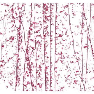 Bullseye glass 4215-000 pink & cranberry frit with pink streamers on clear 3 mm