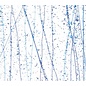 Bullseye glass 4216-000 royal blue & turquoise frit, cobalt blue & turquoise stringers 3 mm