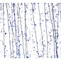 Bullseye glass 4219-000 royal blue, cobalt blue & light aqua with blue streamers 3 mm