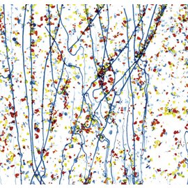Bullseye glass 4223-000 yellow, blue, & red frit with blue streamers on clear 3 mm