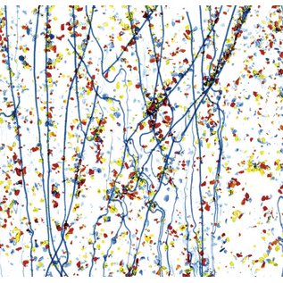 Bullseye glass 4223-000 yellow, blue, & red frit with blue streamers on clear 3 mm