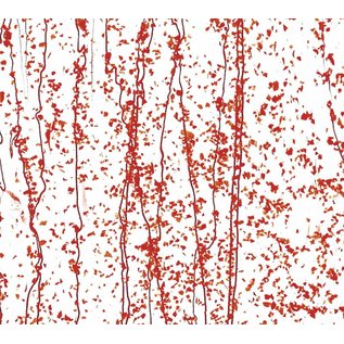 Bullseye glass 4224-000 red frit with red streamers on clear 3 mm