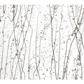 Bullseye glass 4229-000 gray & bronze frit with gray & vanilla streamers 3 mm