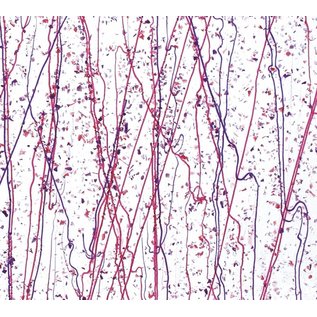 Bullseye glass 4234-000 cranberry & purple frit with cranberry & purple streamers 3 mm