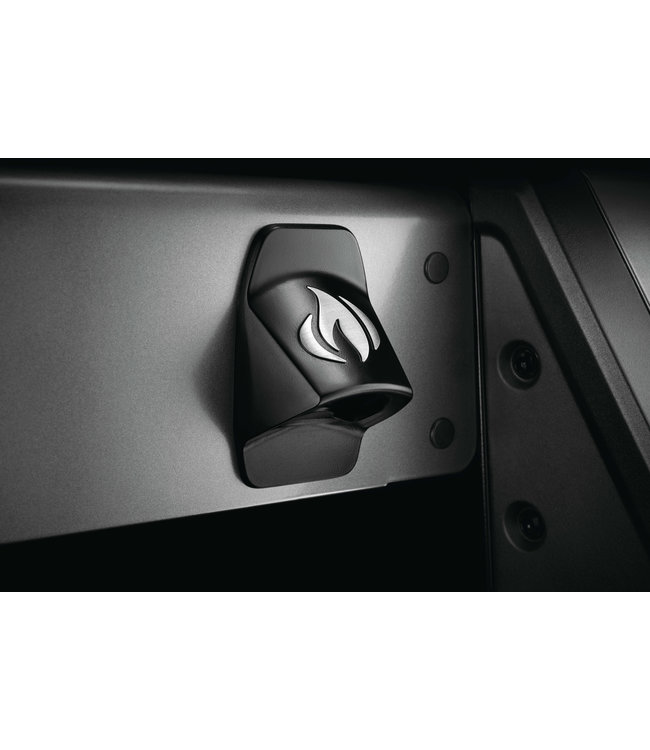 Napoleon Freestyle 365, 3 hoofdbranders, graphite