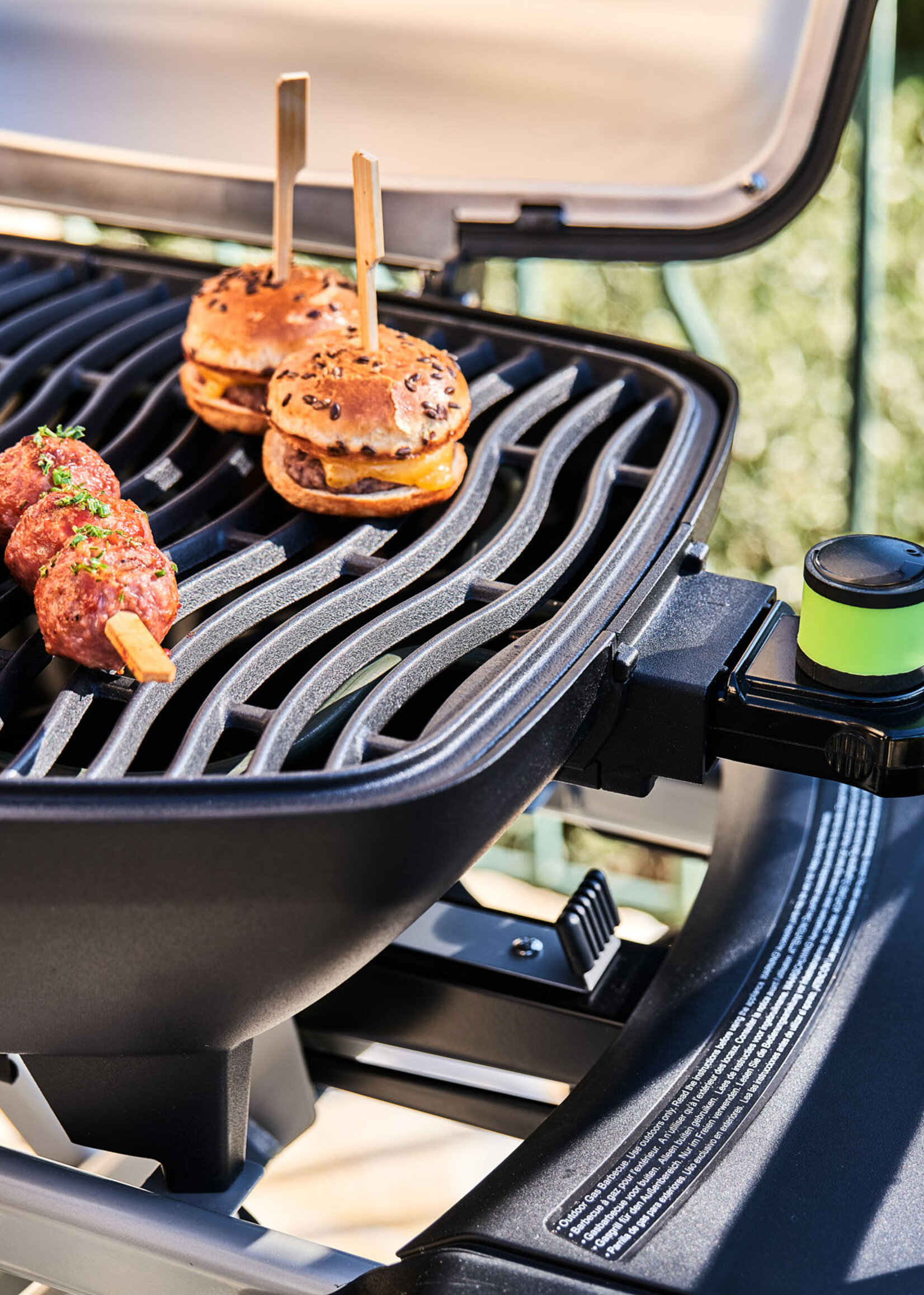 Napoleon Elektrische TRAVELQ™ PRO285X, met inklapbare wagen