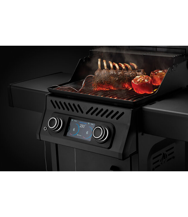 Napoleon Rogue EQ 365 elektrisch, mat zwart