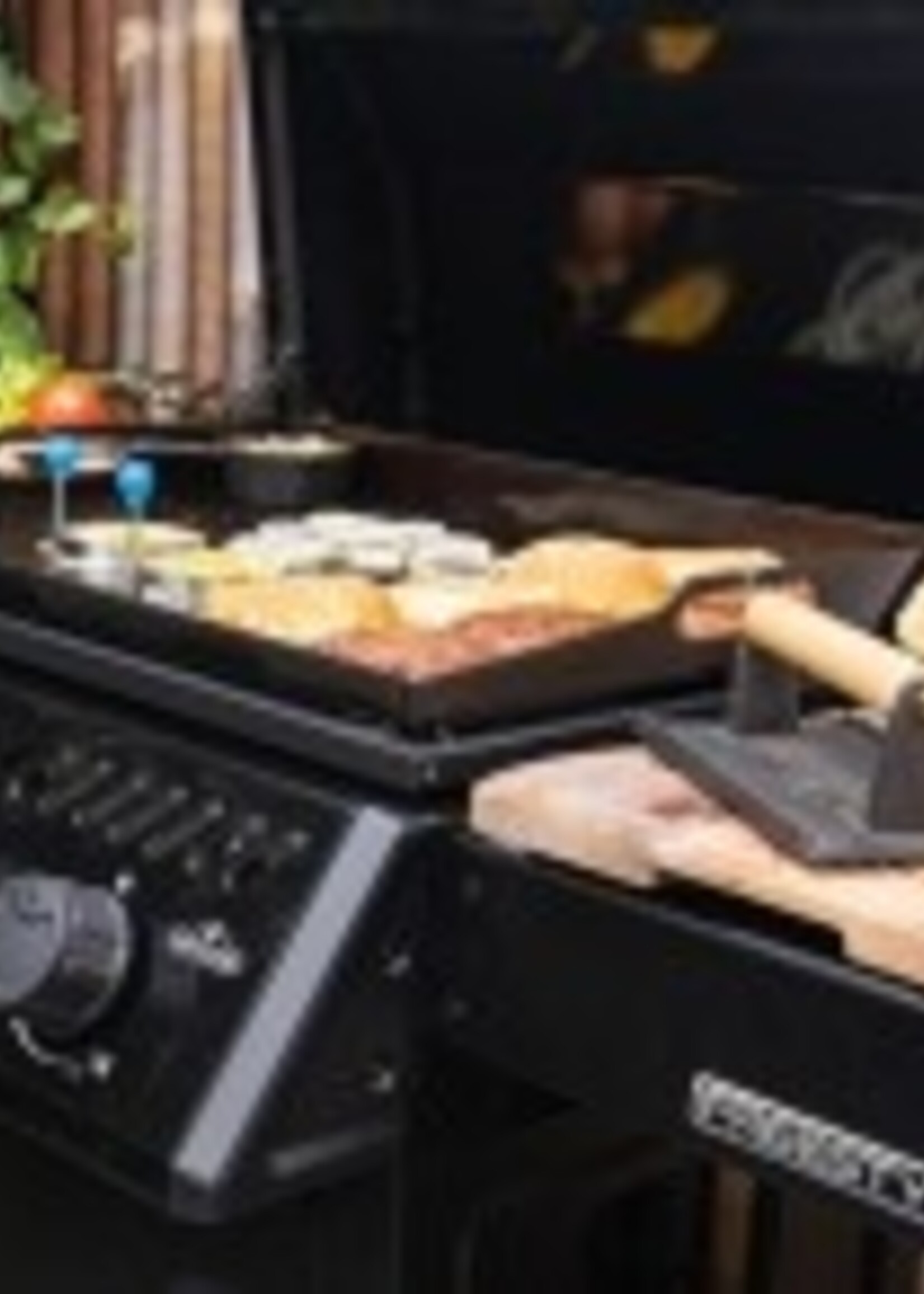 Napoleon Freestyle™ 24 RVS Plancha met 3 branders