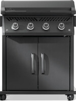 Napoleon Rogue® PRO Phantom 30 RVS Plancha