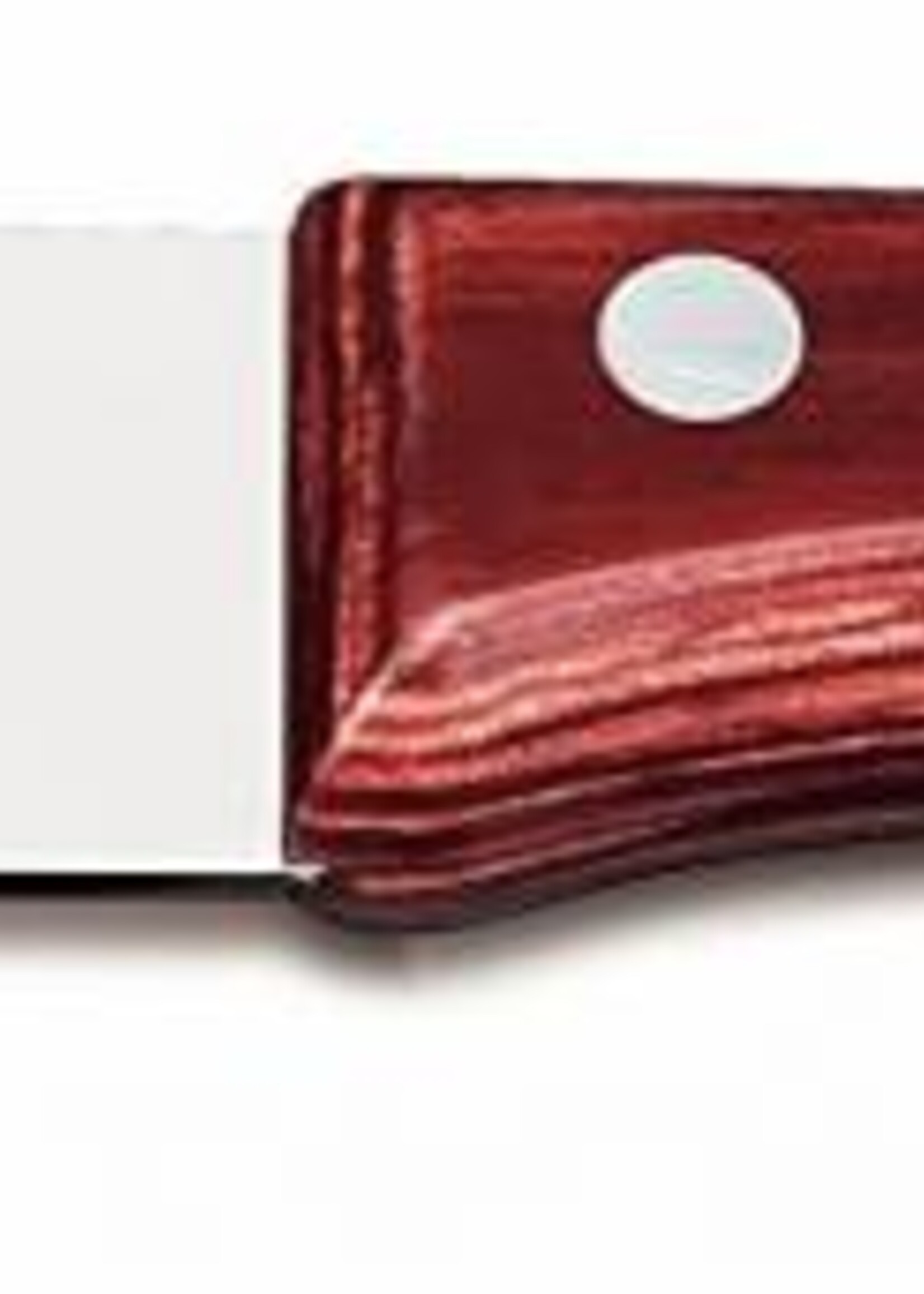 Tramontina Jumbo Steak messen set 4 stuks