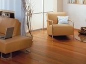 1101 White was 1101 (For exotic woods)