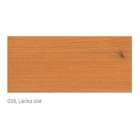 009 Larch Terrace Oil (click here for the content)