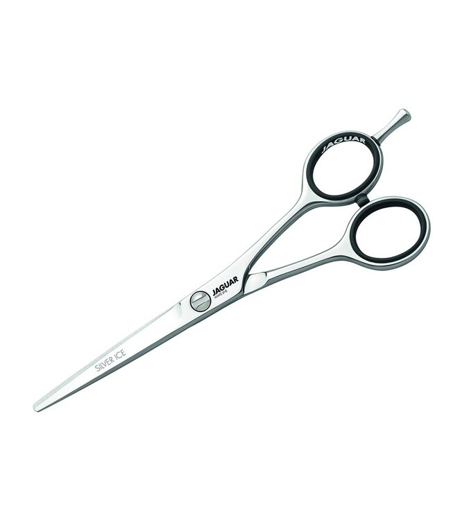 Jaguar White Line Silver Ice