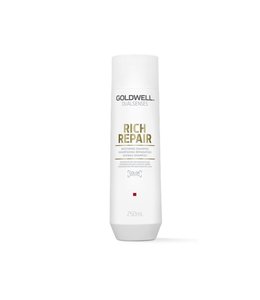 Goldwell Dualsenses Rich Repair Restoring Shampoo 250 ml