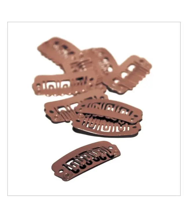 Balmain Hair Double Hair clips Small Bruin 10 stuks