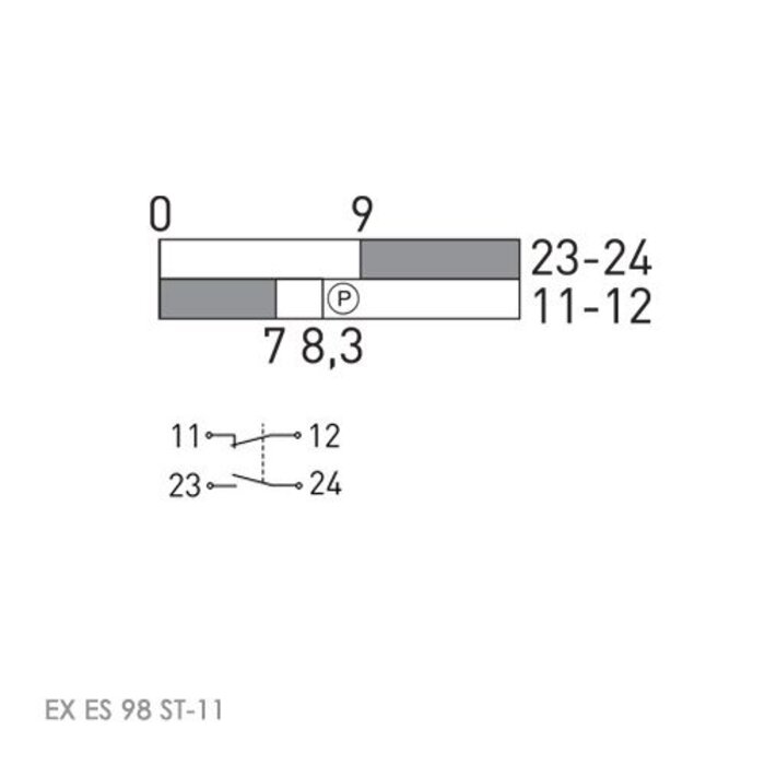 Steute Ex ES 98 ST | Veiligheidsschakelaar Ex met vaste actuator