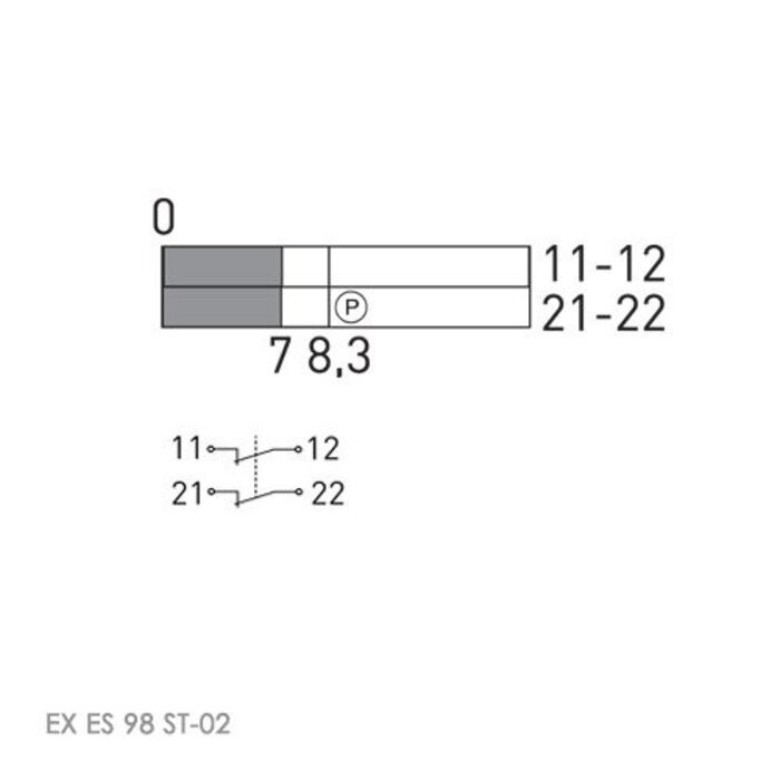 Steute Ex ES 98 ST | Veiligheidsschakelaar Ex met vaste actuator