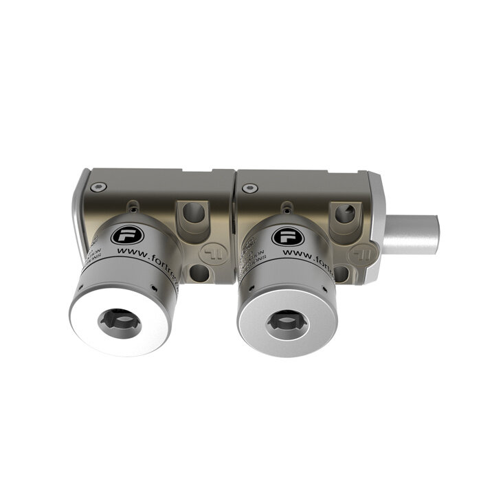 Fortress Interlocks Codiertes Bolzenschloss mit 2 Schlössern