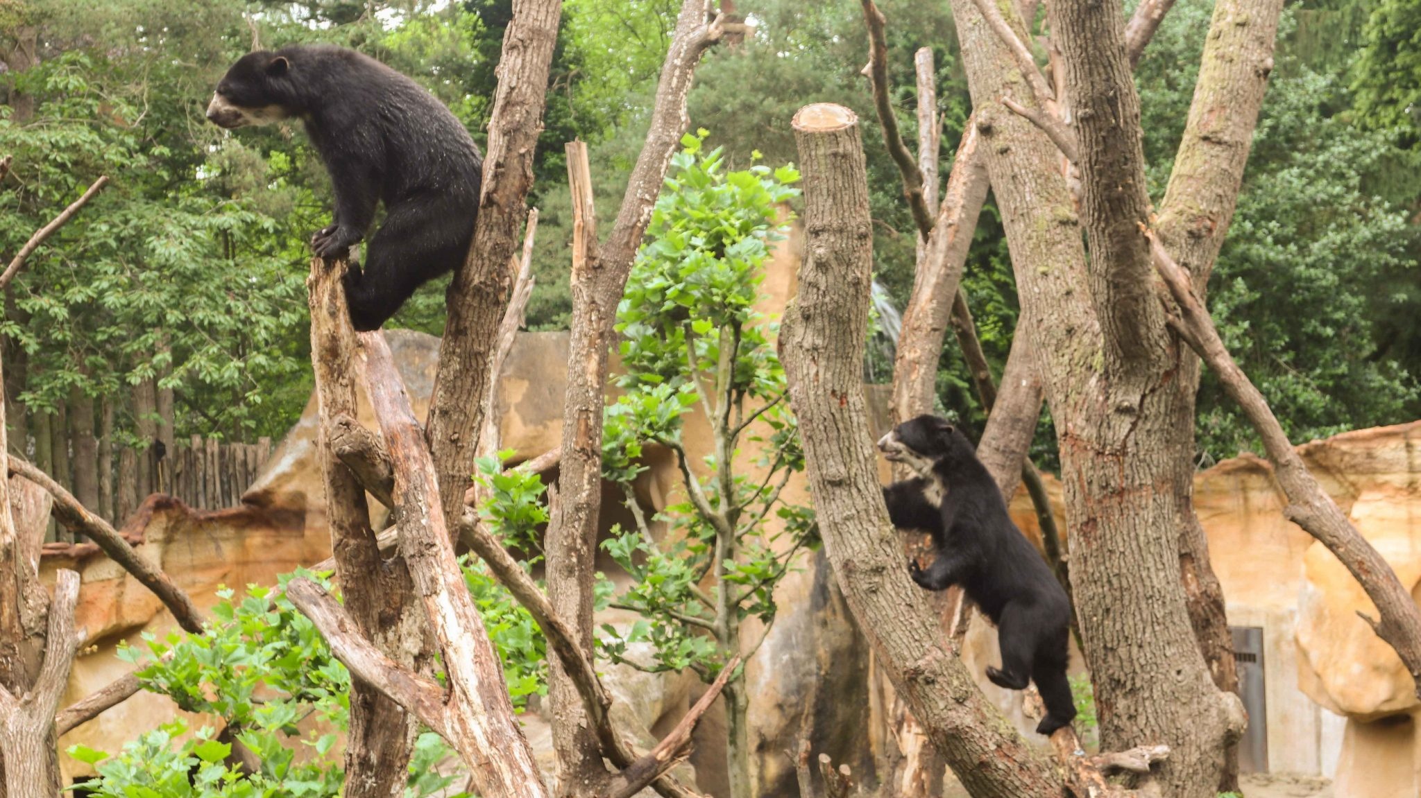 Die Bedeutung von Sicherheitsschlüsseln in Verriegelungssystemen mit gefangenem Schlüssel