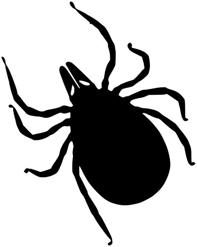 Gefahren durch Zeckenbisse vermeiden