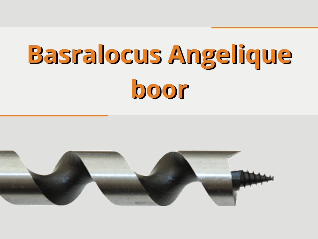 Basralocus Angelique boor