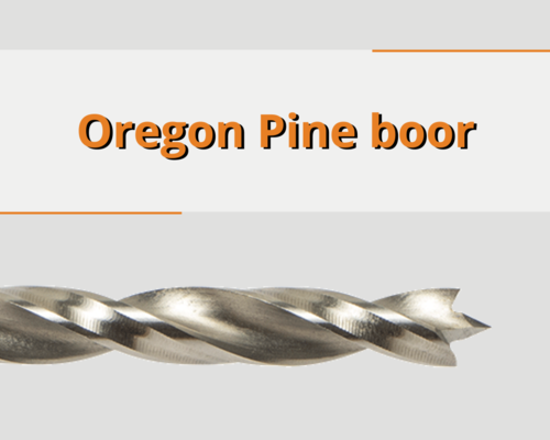 Oregon Pine boor