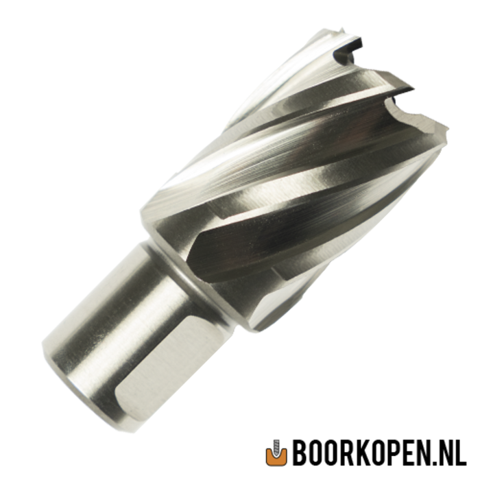 Kernboor HSS 31mm boordiepte 30mm (Weldon)