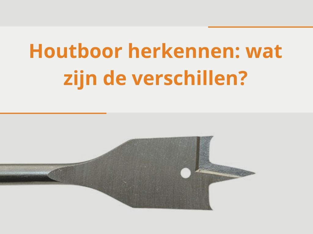 Houtboor herkennen: wat zijn de verschillen? 