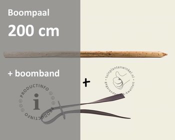 Boompaal - 200 cm + boomband