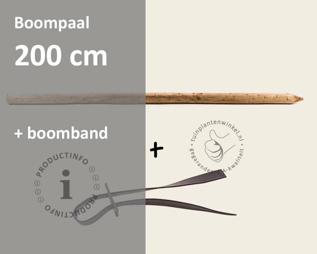 Boompaal - 200 cm + boomband