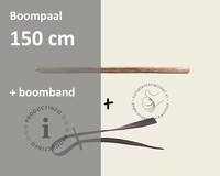 Boompaal - 150 cm + boomband