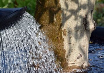 Planten water geven in de tuin