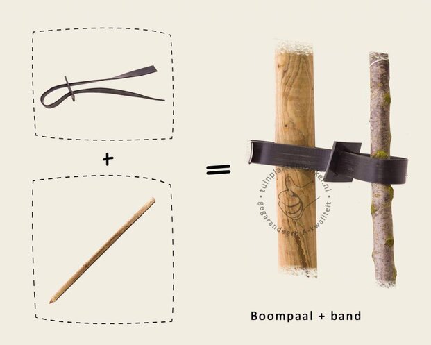 Boomband