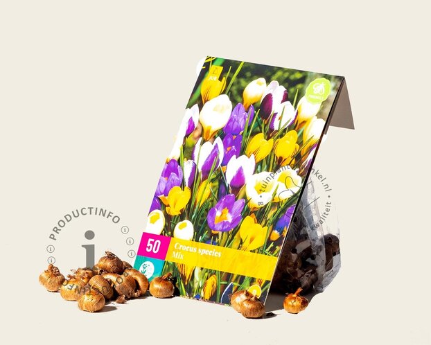 Crocus Species Mix