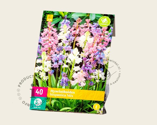 Hyacinthoides hispanica Mix