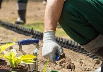 Wanneer kan ik het beste de tuin aanplanten?