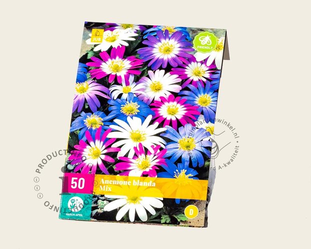 Anemone blanda Mix