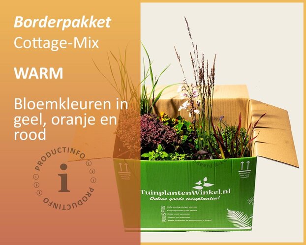 Mix borderpakket Cottage Mix - Warm