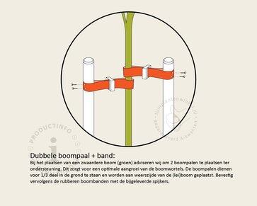 Toebehoren Leibomen 150-serie los bestellen - 2 Palen 200 cm + 2 Banden