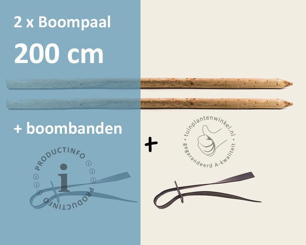 Toebehoren Leibomen 150-serie los bestellen - 2 Palen 200 cm + 2 Banden