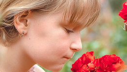 Geurende klimroos image