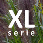 XL - Siergrassen