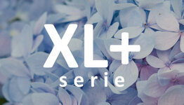 XL+ - Heesters image