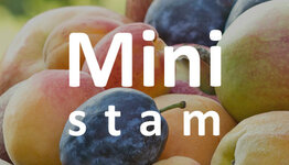 Mini fruitbomen image