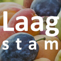 Laagstam fruitbomen