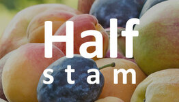 Halfstam fruitbomen image