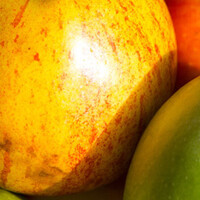 Familie fruitboom